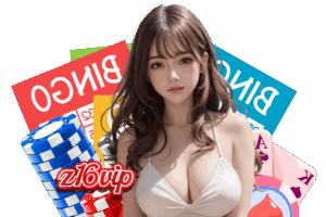 z16 vip wallet